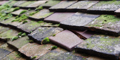Newton Blossomville roof repair costs